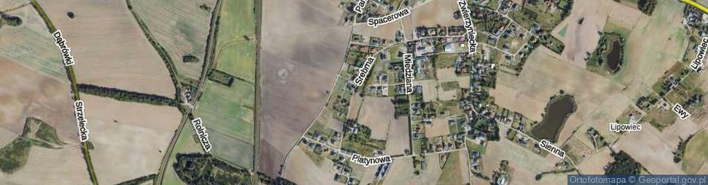 Zdjęcie satelitarne Srebrna ul.